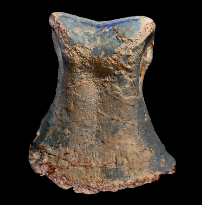 Opalised fossils of newly discovered dinosaur species found in